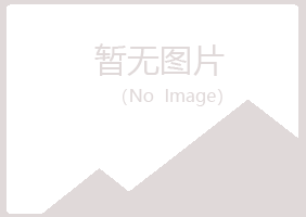 黄山迷失会计有限公司